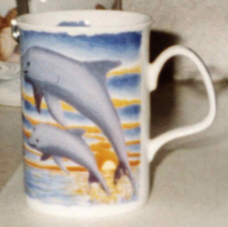 Dolphin Mug by Ashdene-1