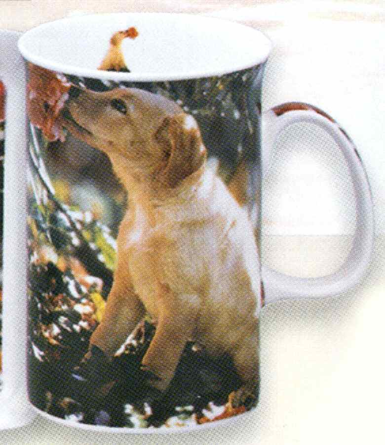Rosie Mug by Ashdene-1