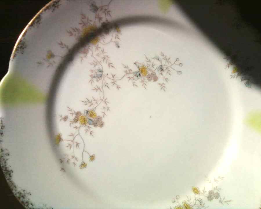 4673 Dinner Plate by Strobel & Wilken-1