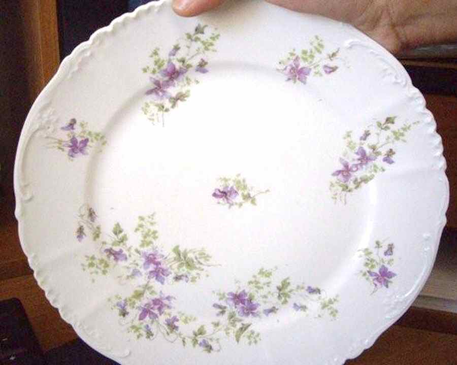 9162 Dinner Plate by Altrohlau-1