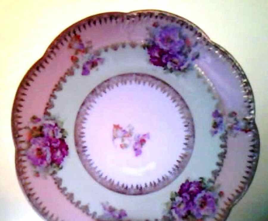 AUS408 Dinner Plate by Austria-1