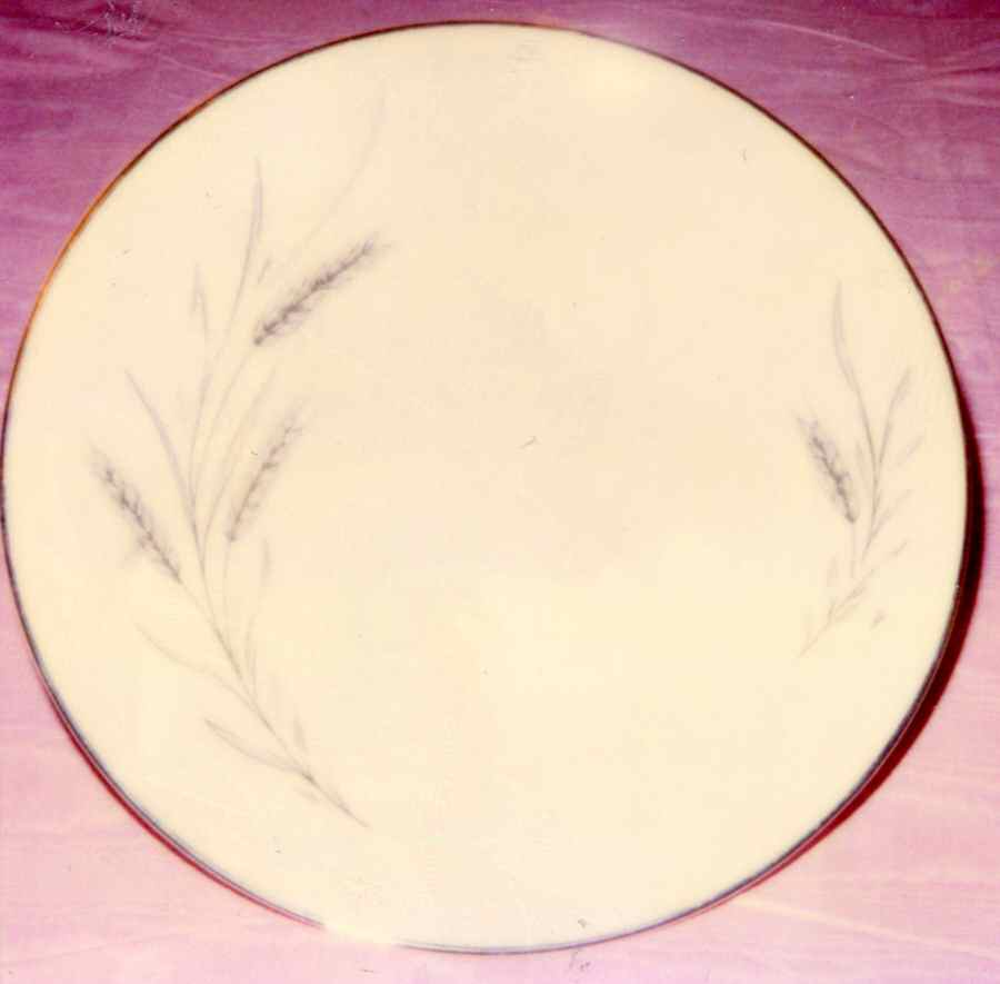 AS22 Dinner Plate by Arthur Stuart-1