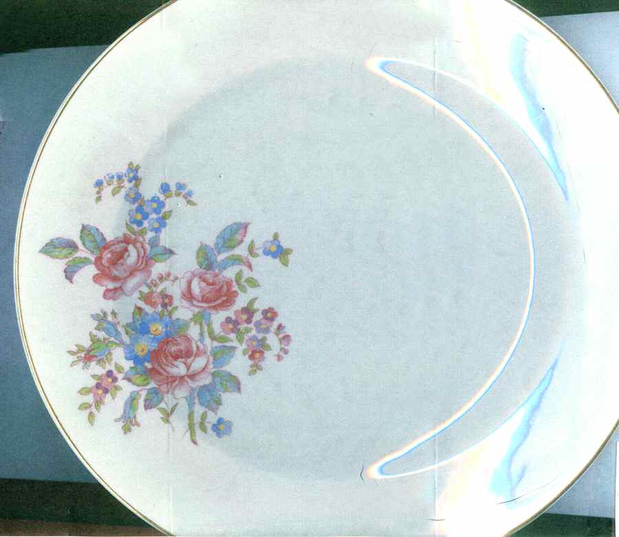ARL8 Dinner Plate by Arlen-1