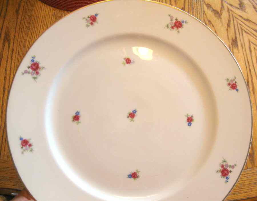 AOH2 Dinner Plate by Aoi China-1