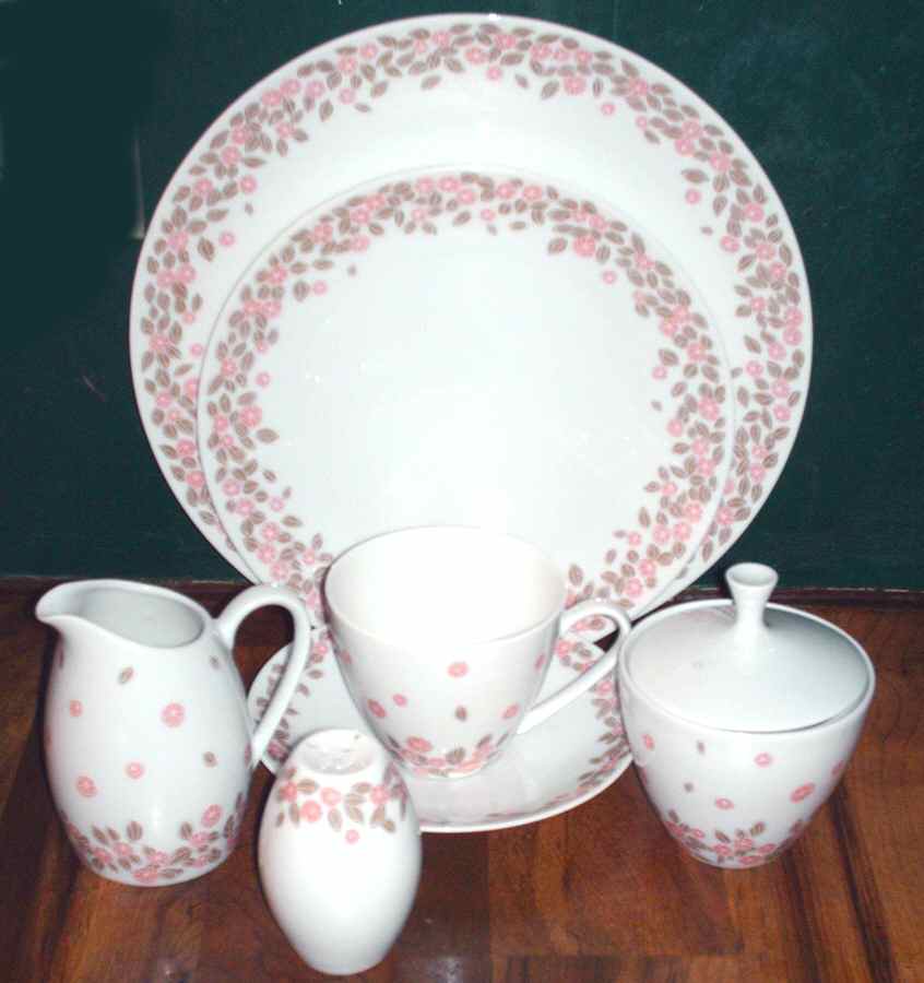 ARZ224 Dinner Plate by Arzberg-1