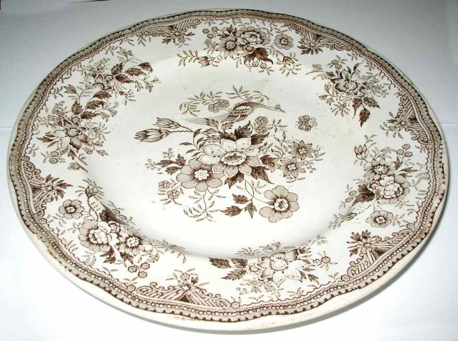 Asiatic Pheasants Brown Dinner Plate by Adderley-1
