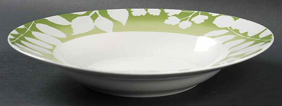 Twilight Green Soup/Cereal Bowl by 222 Fifth (PTS)-1