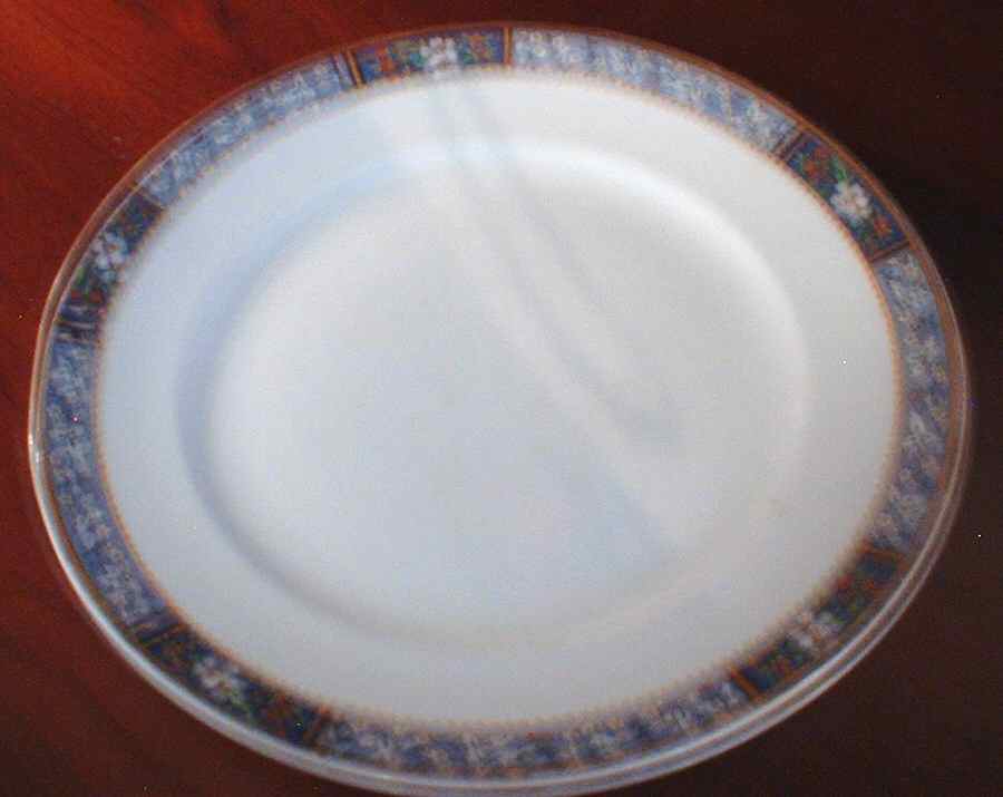 ATG28 Dinner Plate by Atlas Globe China Co-1