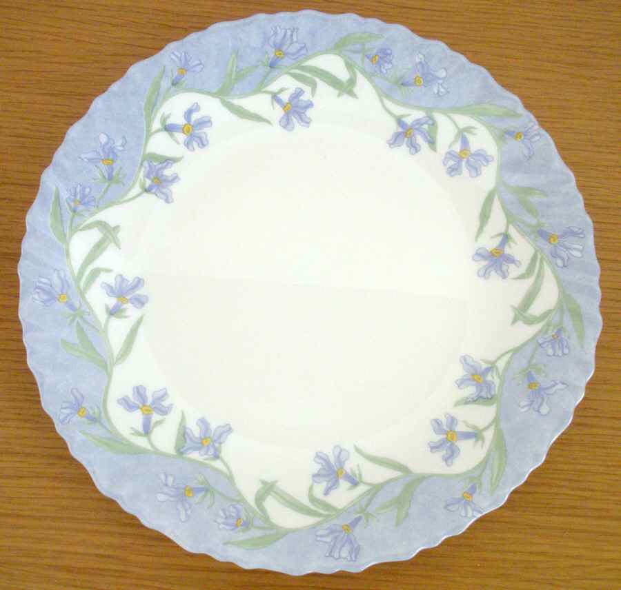 ARP51 Dinner Plate by Arcopal-1