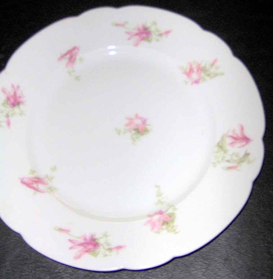 AHR863 Dinner Plate by Charles Ahrenfeldt-1
