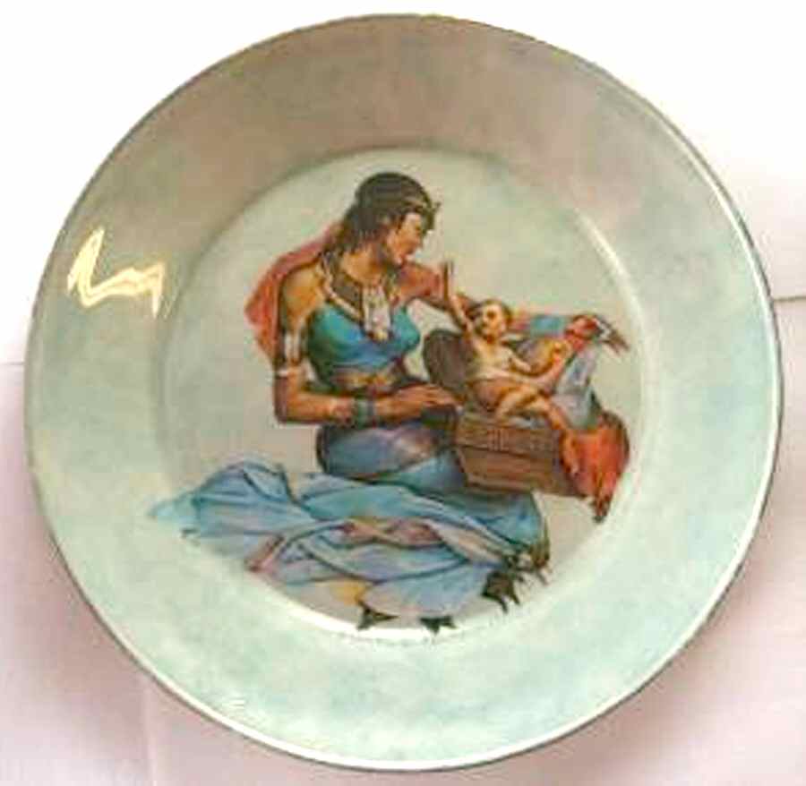 AOW9 Dinner Plate by Arcoroc-1