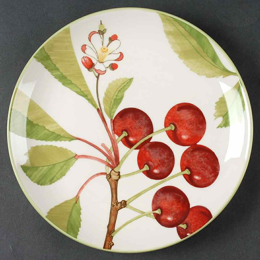 Frutta Dinner Plate by 222 Fifth (PTS)-1