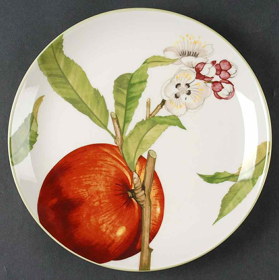 Frutta Dinner Plate by 222 Fifth (PTS)-1