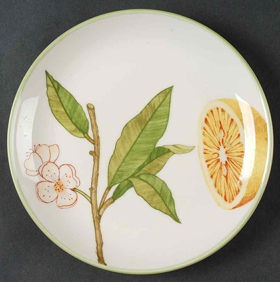 Frutta Salad Plate by 222 Fifth (PTS)-1