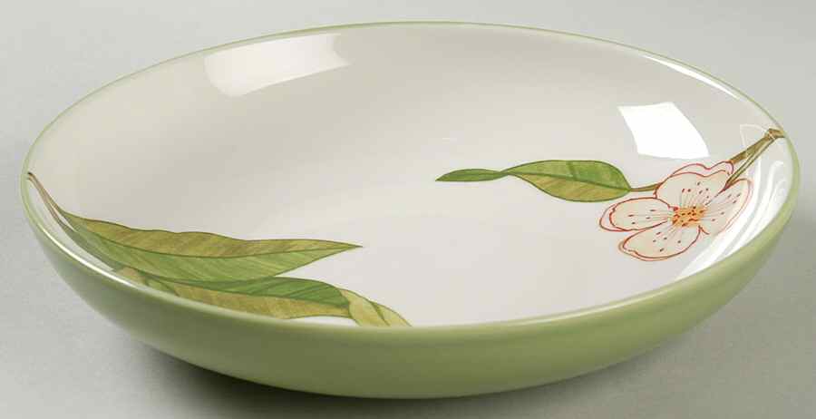 Frutta Soup/Cereal Bowl by 222 Fifth (PTS)-1