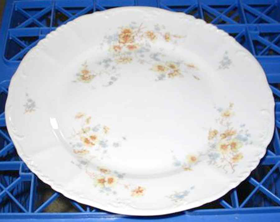 639 Dinner Plate by Altrohlau-1