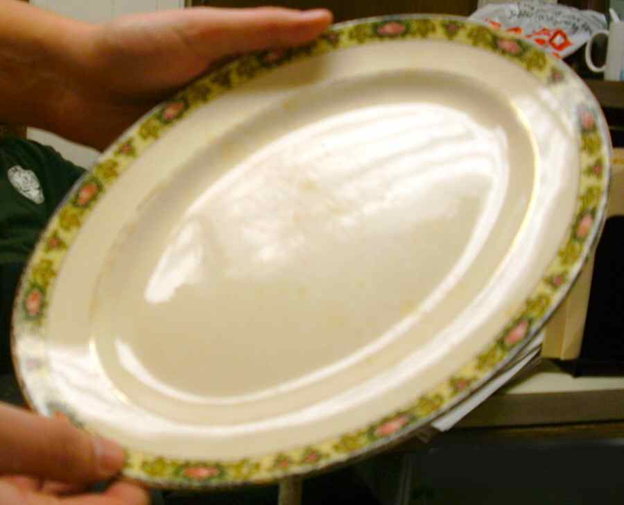 ATG30 Dinner Plate by Atlas Globe China Co-1