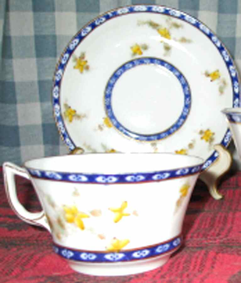 H887 Footed Cup & Saucer Set by Adderley-1