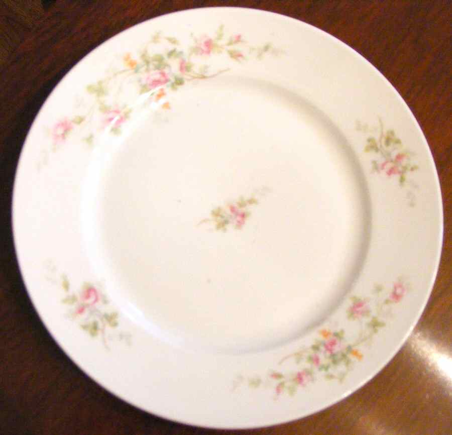 ALT627 Dinner Plate by Altrohlau-1