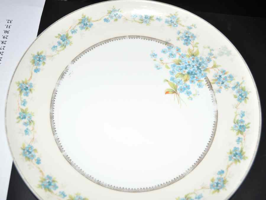 ALT628 Dinner Plate by Altrohlau-1