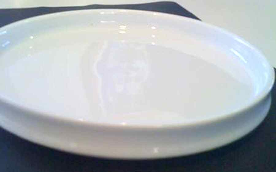 ARZ232 Dinner Plate by Arzberg-1