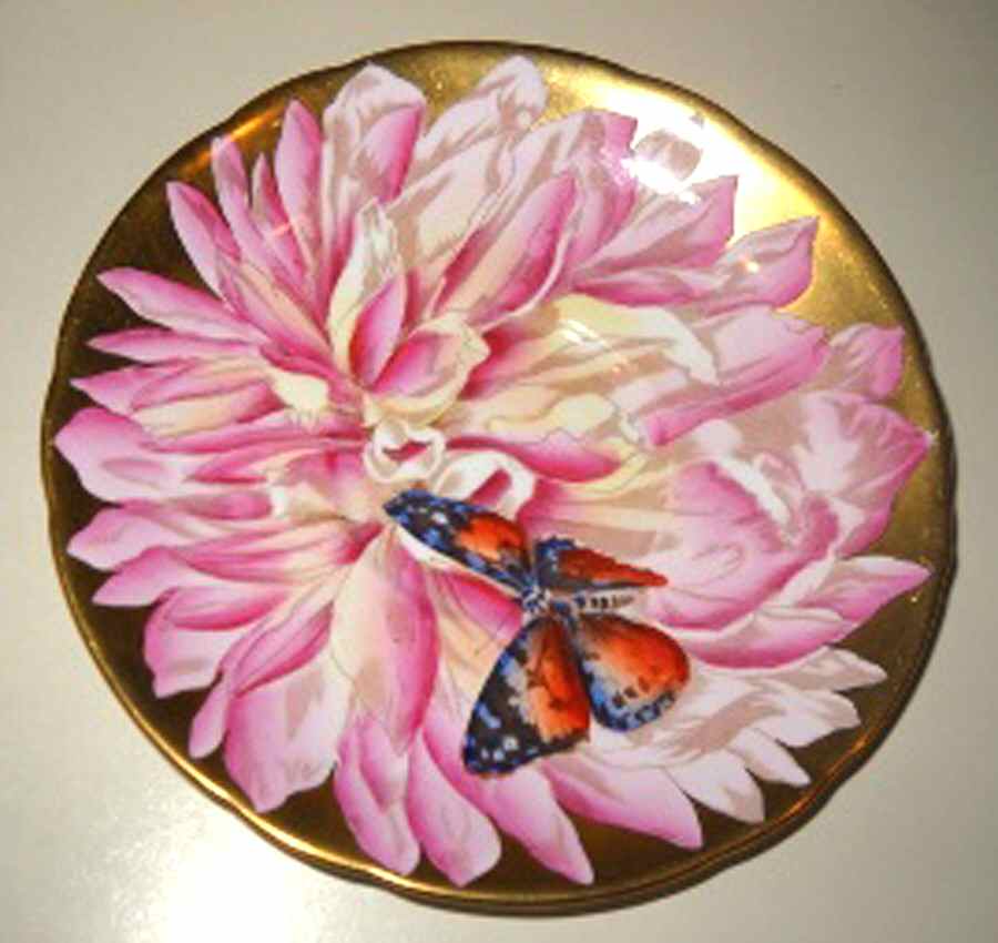 C474-4 Saucer by John  Aynsley & Sons-1