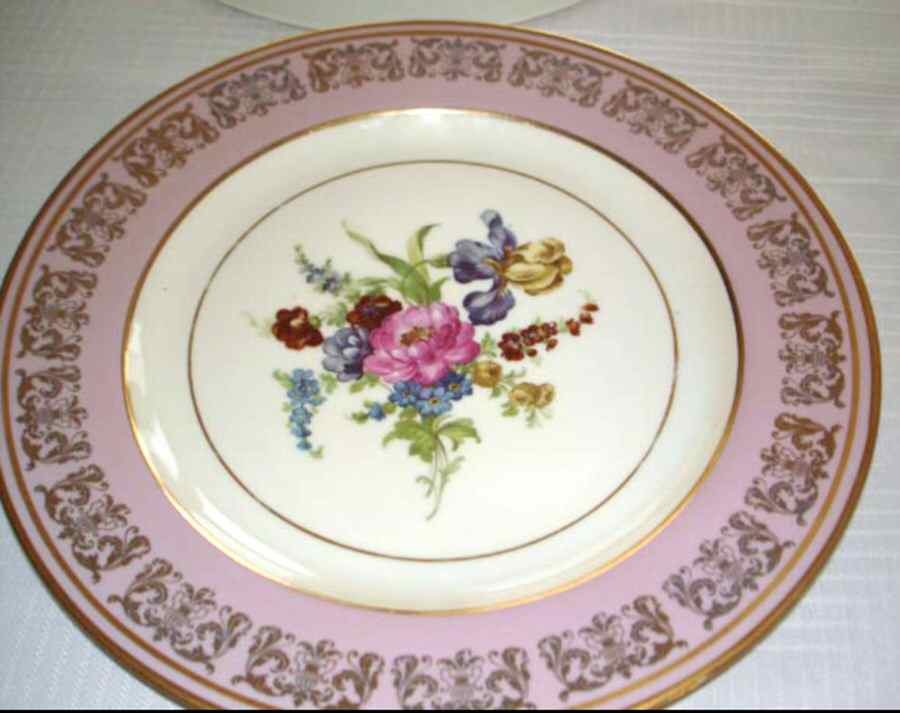 AUS419 Dinner Plate by Austria-1