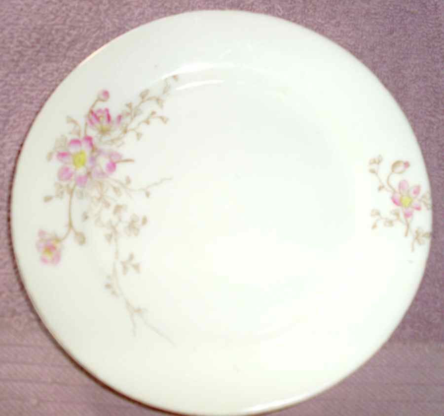 AUS101 Dinner Plate by Austria-1