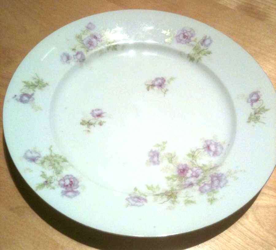 ALT641 Dinner Plate by Altrohlau-1