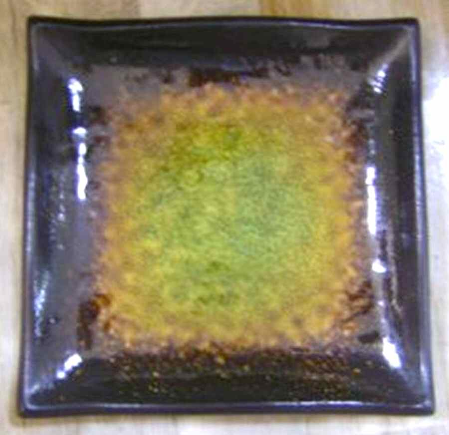 AKX3 Square Salad Plate by AK (China)-1