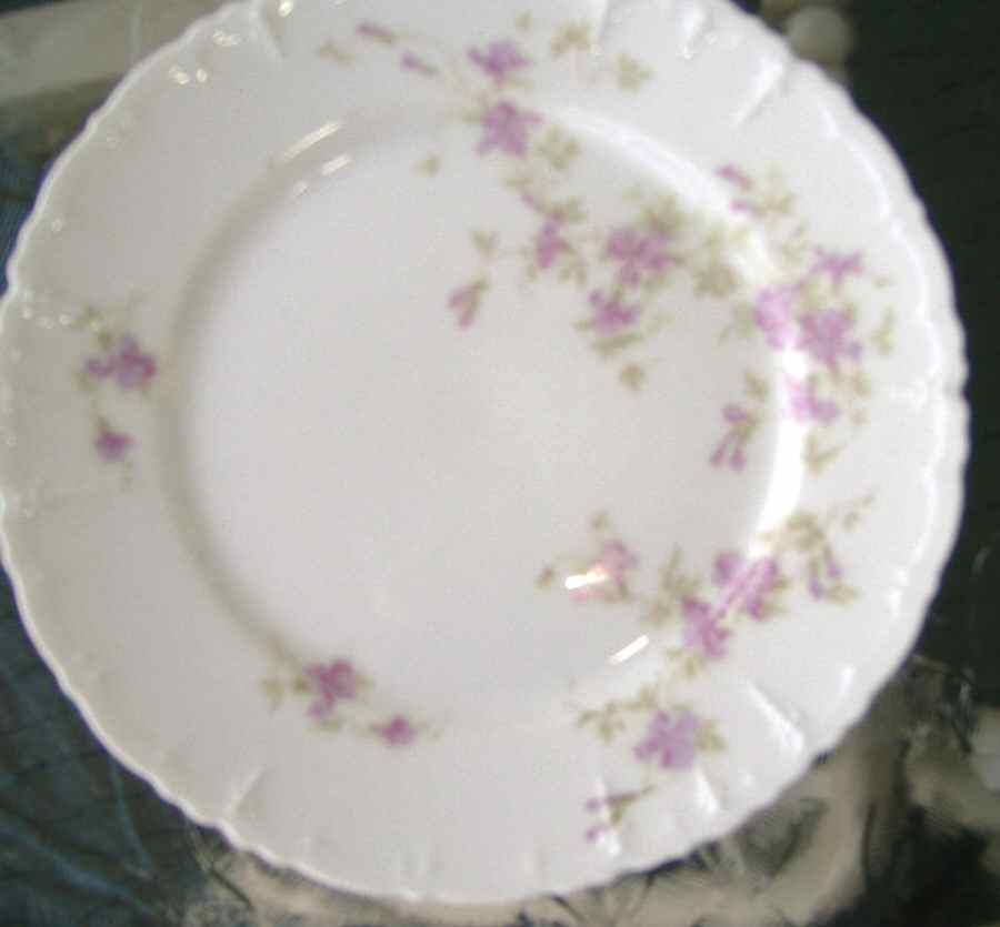 AUS421 Dinner Plate by Austria-1