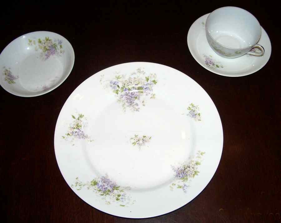 AUS422 Dinner Plate by Austria-1