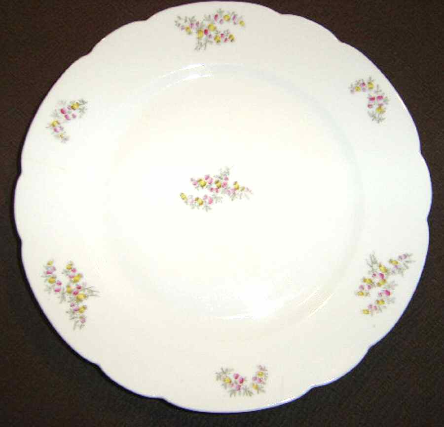 AUS423 Dinner Plate by Austria-1