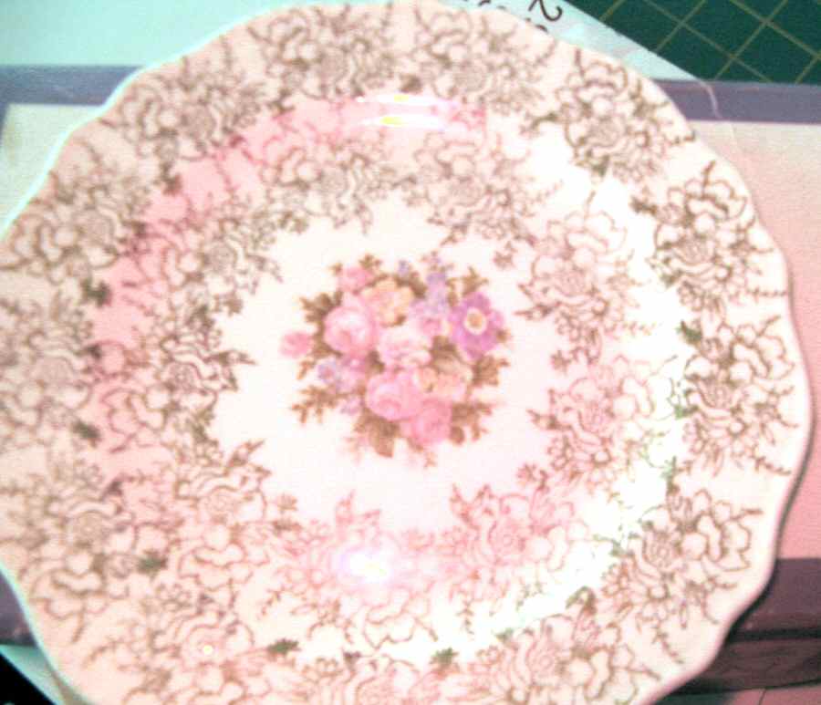 ATS77 Dinner Plate by Atlas China (NY)-1