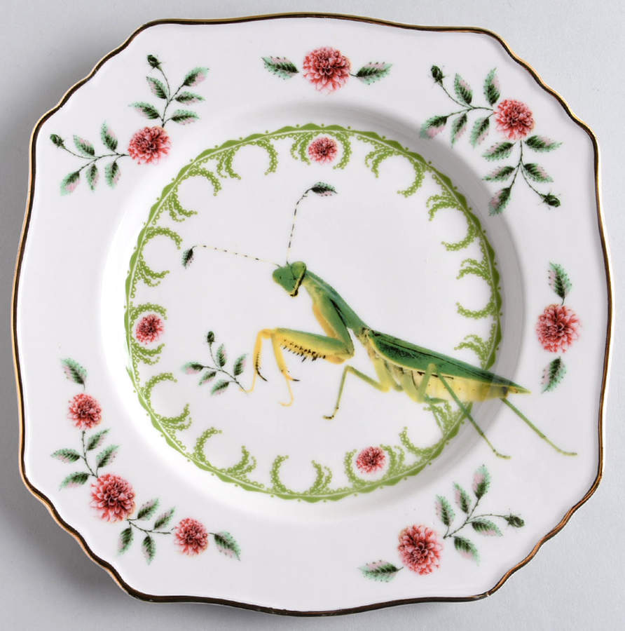 Nature Table Square Salad/Dessert Plate by Anthropologie-1