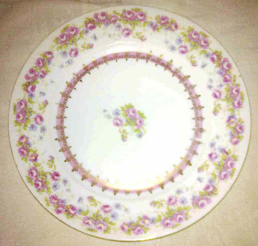 AUS424 Dinner Plate by Austria-1