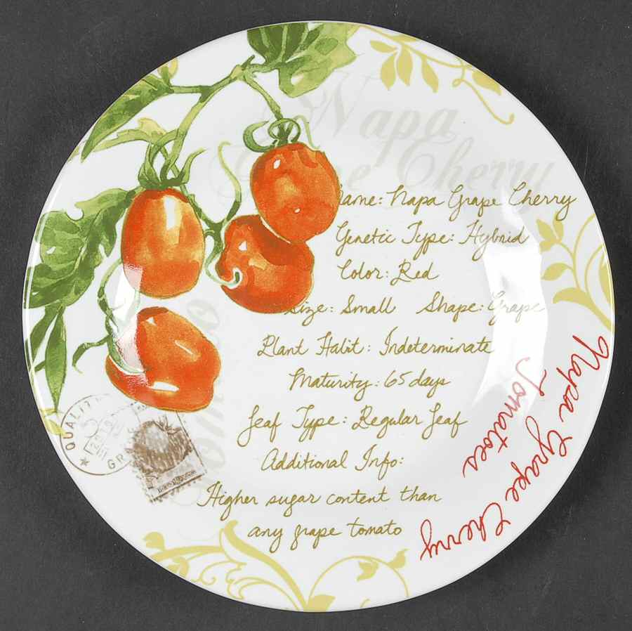 Heirloom Tomatoes Appetizer Plate by 222 Fifth (PTS)-1