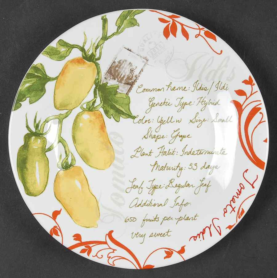 Heirloom Tomatoes Appetizer Plate by 222 Fifth (PTS)-1