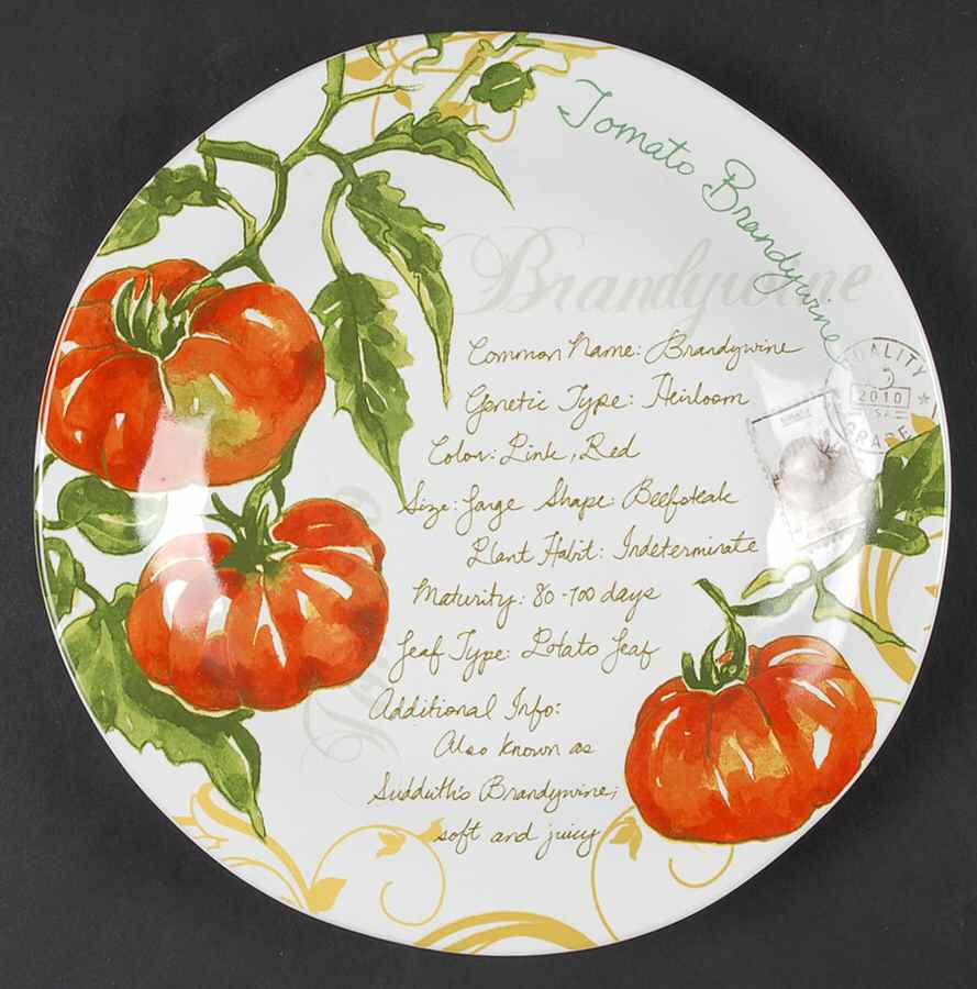 Heirloom Tomatoes Salad Plate by 222 Fifth (PTS)-1