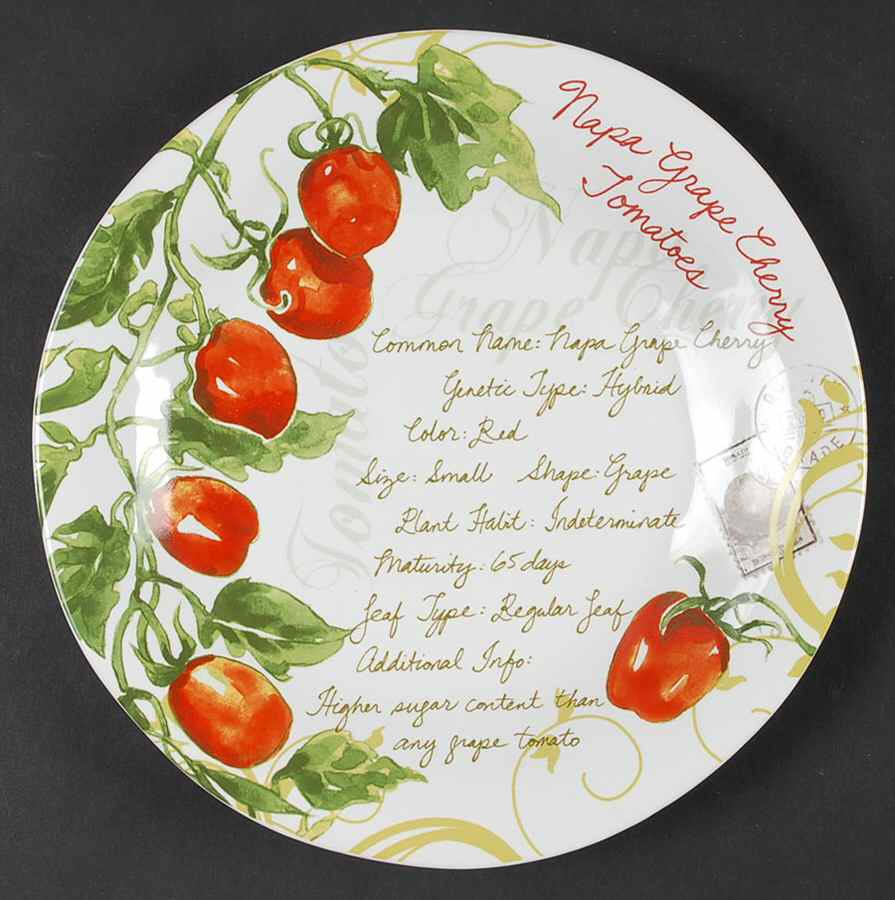 Heirloom Tomatoes Salad Plate by 222 Fifth (PTS)-1