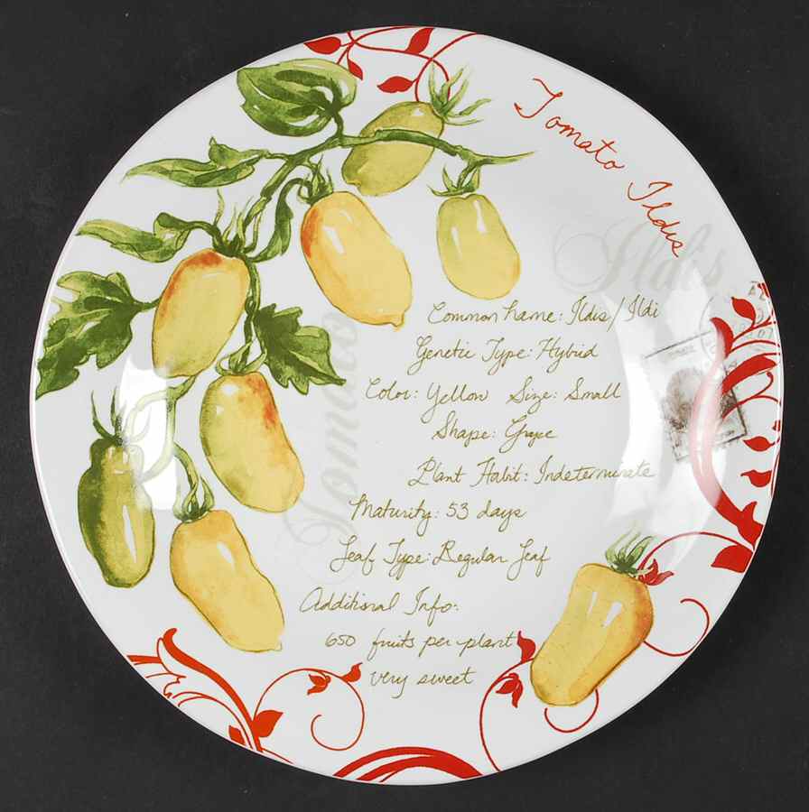 Heirloom Tomatoes Salad Plate by 222 Fifth (PTS)-1