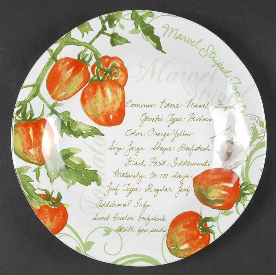 Heirloom Tomatoes Salad Plate by 222 Fifth (PTS)-1
