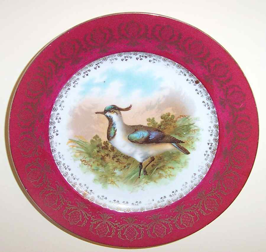 AUS426 Luncheon Plate by Austria-1