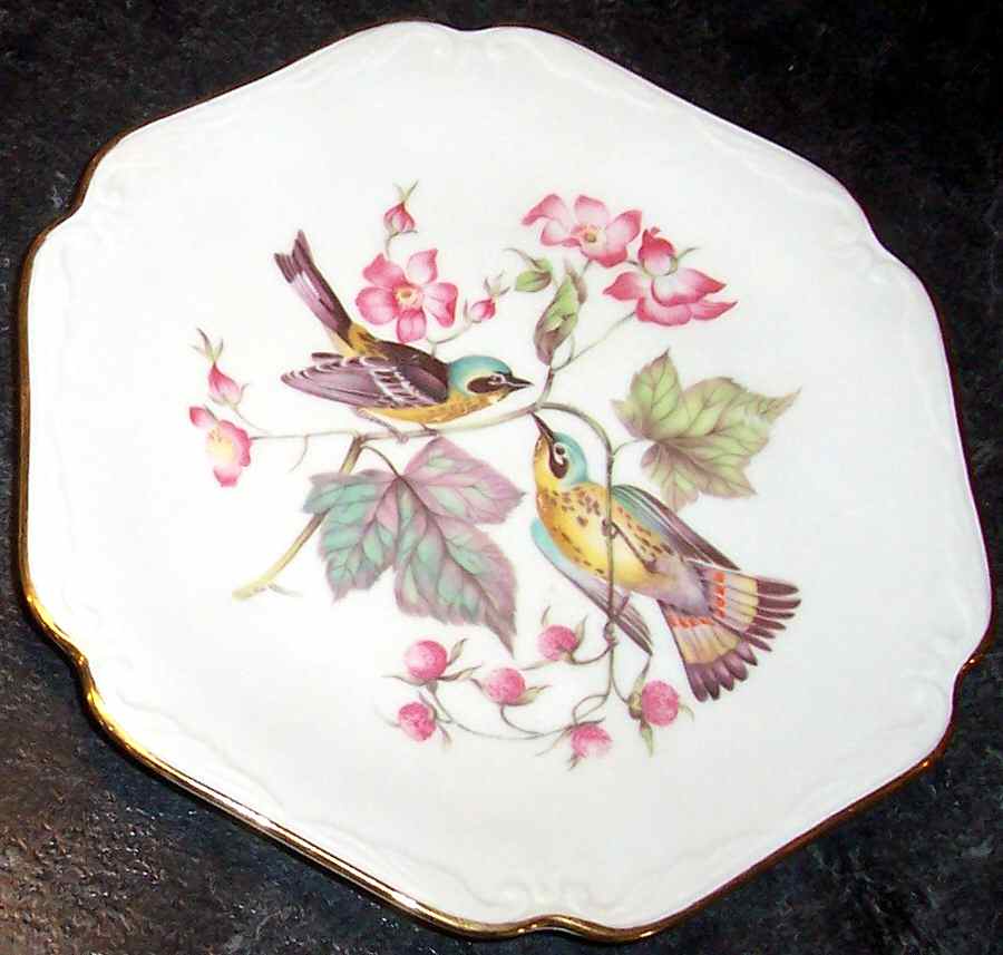 AZO2 Salad Plate by Amzo-1