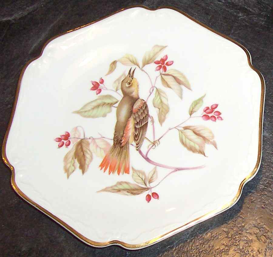 AZO2 Salad Plate by Amzo-1
