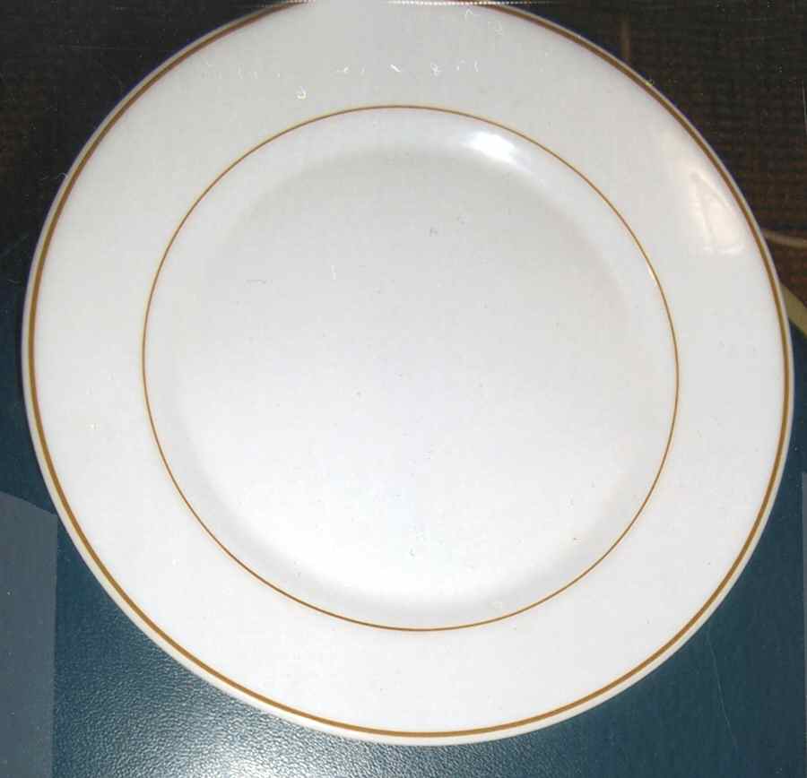 ARP54 Dinner Plate by Arcopal-1