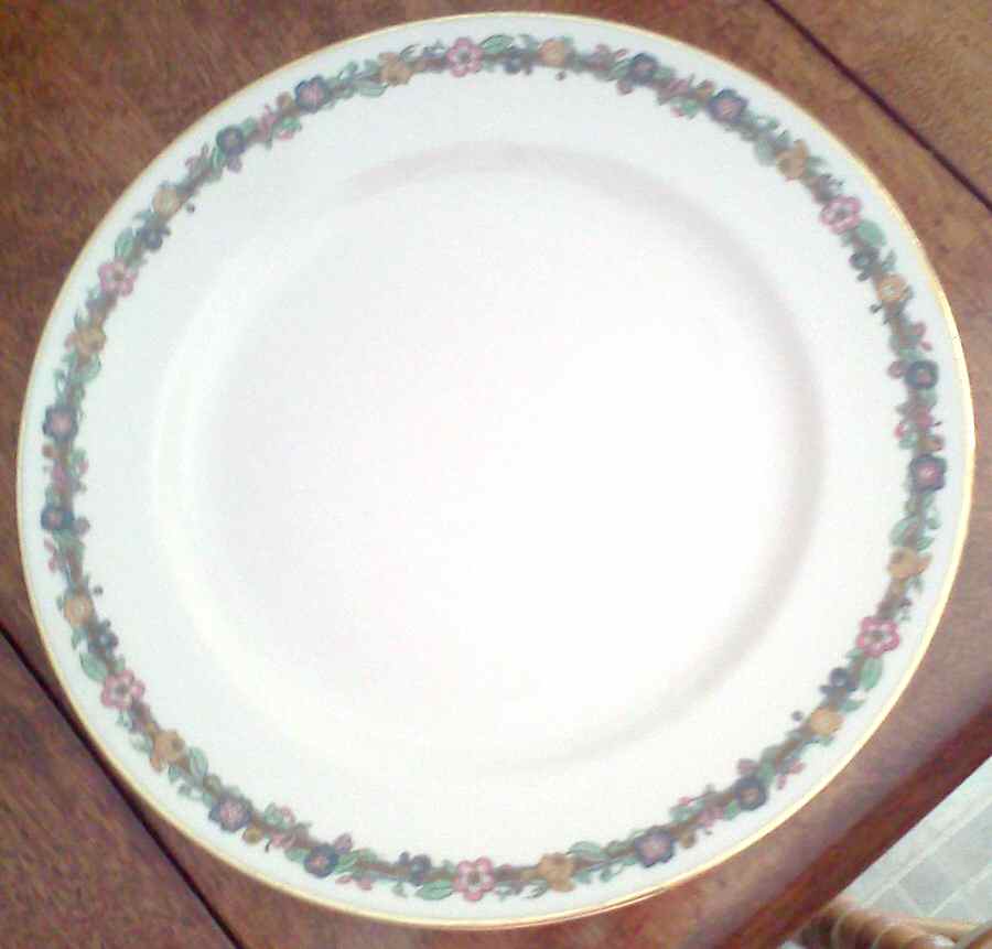 AHR926 Dinner Plate by Charles Ahrenfeldt-1