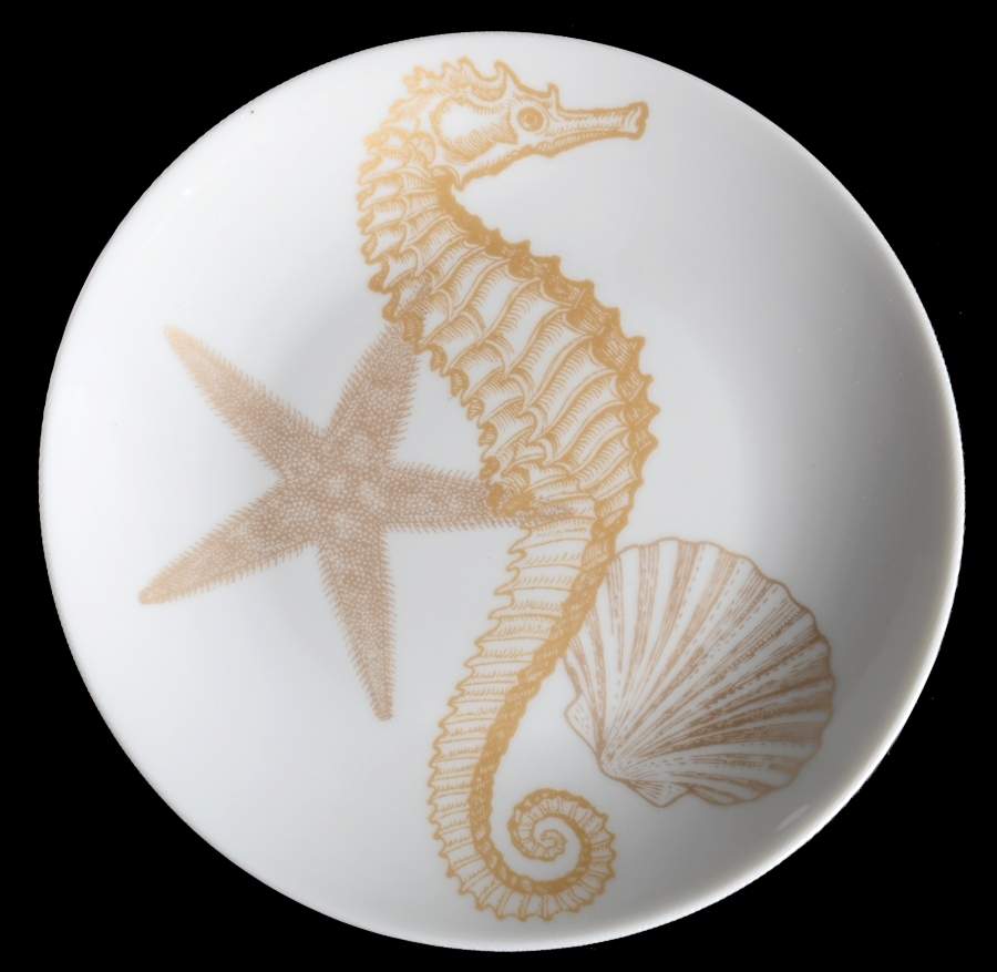 Coastal Life Gold (Yellow) Appetizer Plate by 222 Fifth (PTS)-1