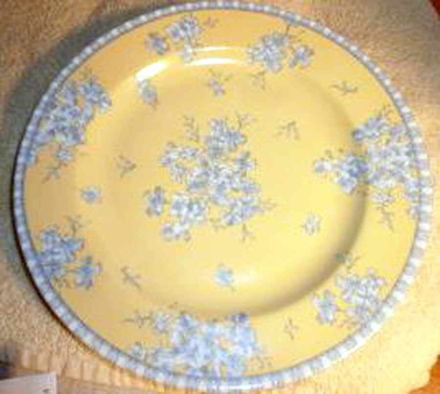 Dijon Dinner Plate by 222 Fifth (PTS)-1