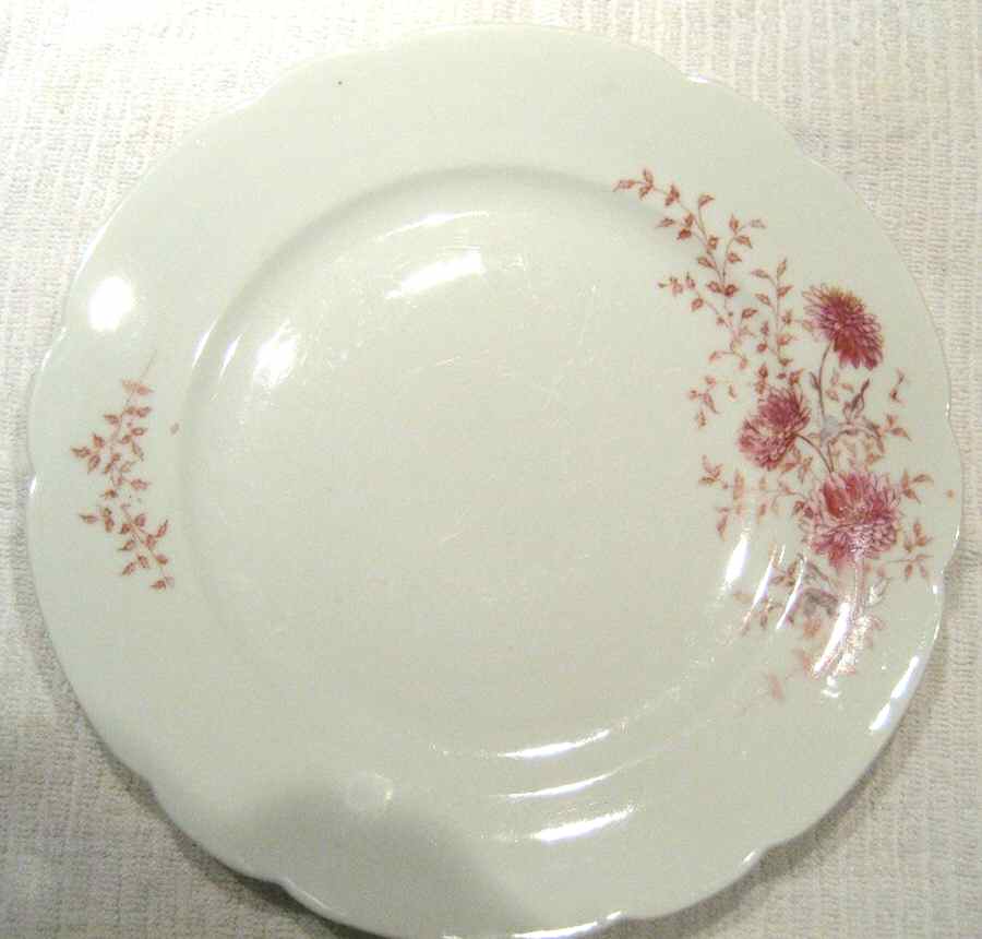 AUS437 Dinner Plate by Austria-1